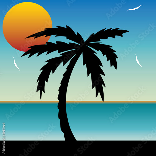 Vector: Vector illustration of a tropical sunset and palm tree. Vector illustration of a tropical sunset and palm tree.