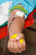 Photo: Blood donation Blood donation
