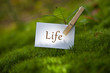 Life