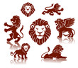 A set of lions illustrations