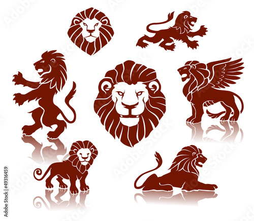 Vector: A set of lions illustrations A set of lions illustrations