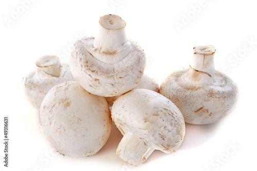 Photo: button mushrooms button mushrooms