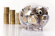 Pig bank and money coin