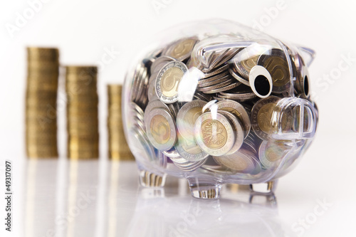 Photo: Pig bank and money coin Pig bank and money coin