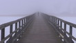 Video: lonely schoolboy walking in winter fog on wooden bridge lonely schoolboy walking in winter fog on wooden bridge