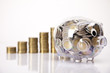 Photo: Business concept, Pig bank and money coin Business concept, Pig bank and money coin