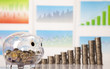 Photo: Business concept, Pig bank and money coin Business concept, Pig bank and money coin