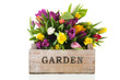 Garden crate full tulips