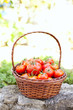 Foto: Tomatos from the farm Tomatos from the farm