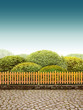 Photo: Beautiul Garden Beautiul Garden