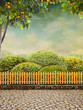 Photo: Beautiul Garden Beautiul Garden