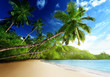 sunset on beach, Mahe island, seychelles