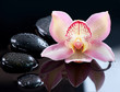 Spa Stones and Orchid Flower over Dark Background