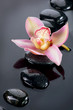 Spa Stones and Orchid Flower over Dark Background