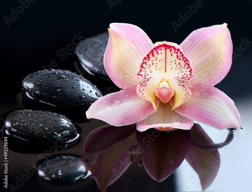 Photo: Spa Stones and Orchid Flower over Dark Background Spa Stones and Orchid Flower over Dark Background