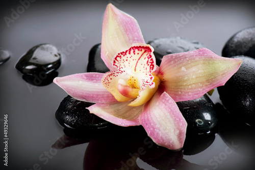 Photo: Spa Stones and Orchid Flower over Dark Background Spa Stones and Orchid Flower over Dark Background