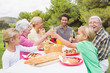 Multi-generation family toasting each other at picnic table