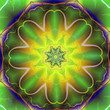 Photo: Magical colorful flower Magical colorful flower