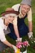 Retired couple gardening together portrait