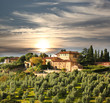 Luxury villa in Tuscany, famous vineyard in Italy