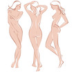 Beautiful nude woman silhouette