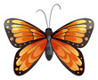 A butterfly