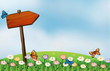 An arrow signboard and the butterflies