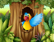 A bird in a tree hollow