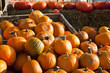 Foto: orange Kürbisse orange Kürbisse