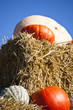 Foto: Kürbisse auf Strohballen Kürbisse auf Strohballen
