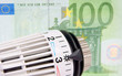 Thermostat mit 100 Euroschein