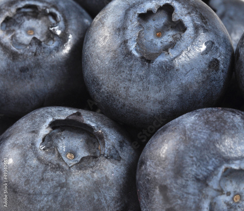 Photo: Freshly picked blueberries Freshly picked blueberries