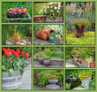 Garden planter collage