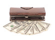 brown leather wallet with dollar isolated