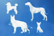 dog clouds shape