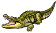 nile crocodile