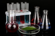 Test-tubes and green leaf tested in petri dish, isolated