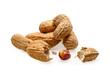 peanuts in shell on white backdrop