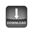 Download web button (grey)