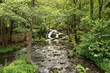 Selketal Harz Selkewasserfall im Sommer