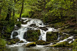 Selketal Harz Selkewasserfall im Sommer