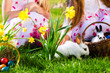 Children on Easter egg hunt with bunny