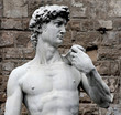 The head of David