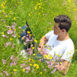 Photo: Konzentrierte Arbeit an Notebook im Sommer auf Wiese Konzentrierte Arbeit an Notebook im Sommer auf Wiese