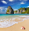 Tropical beach