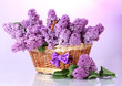 beautiful lilac flowers in basket on purple background