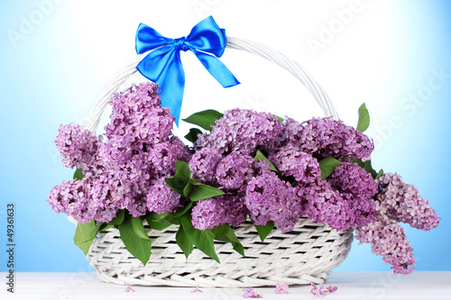 Photo: beautiful lilac flowers in basket on blue background beautiful lilac flowers in basket on blue background