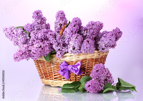 Photo: beautiful lilac flowers in basket on purple background beautiful lilac flowers in basket on purple background