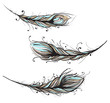 Intricate Decorative Feathers Illustration