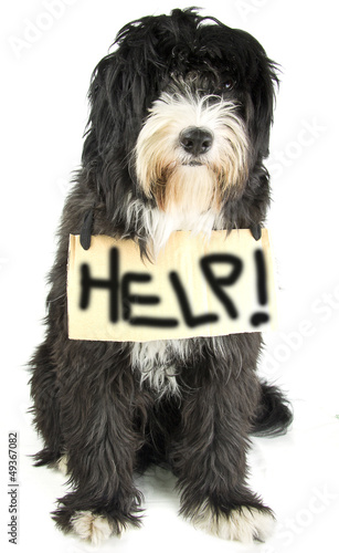 Photo: help help